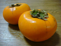 DSC01636.JPG