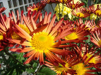 DSC01710.JPG