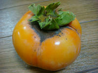 DSC01718.JPG