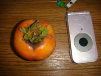 DSC01719.JPG