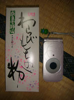DSC01802.JPG
