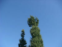 DSC01805.JPG