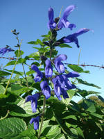 DSC01858.JPG