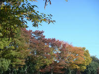 DSC01863.JPG