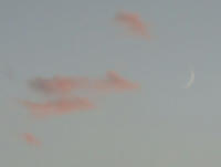 DSC01877.JPG