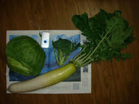 DSC01938.JPG