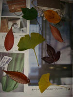 DSC01939.JPG