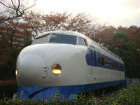 DSC01955.JPG