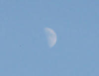 DSC01960.JPG