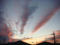 DSC01967.JPG