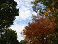 DSC02175.JPG