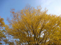 DSC02176.JPG