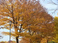 DSC02245.JPG