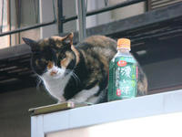 DSC02267.JPG