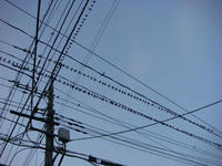 DSC02271.JPG