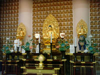 DSC02303.JPG