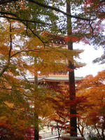 DSC02312.JPG