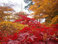 DSC02316.JPG