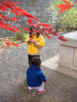 DSC02325.JPG