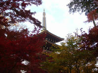 DSC02330.JPG