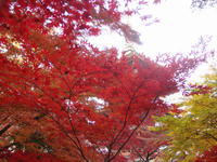 DSC02331.JPG