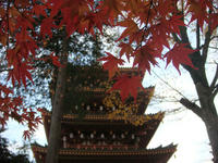 DSC02333.JPG