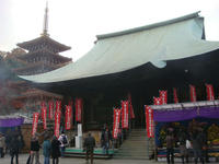 DSC02339.JPG