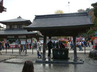 DSC02340.JPG