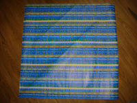 DSC02413.JPG