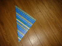DSC02416.JPG