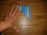DSC02470.JPG