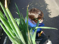 DSC02476.JPG