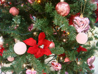DSC02492.JPG