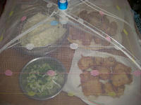 DSC02506.JPG