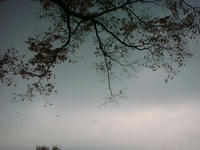 DSC02524.JPG