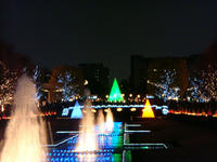 DSC02552.JPG