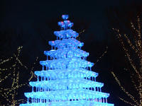 DSC02558.JPG