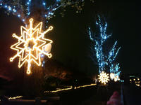 DSC02591.JPG