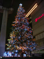 DSC02598.JPG