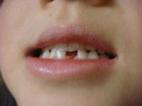 DSC02615.JPG
