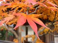 DSC02640.JPG