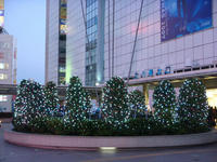 DSC02736.JPG