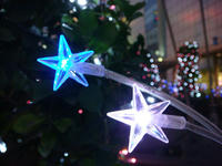 DSC02738.JPG