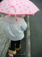 DSC03135.JPG