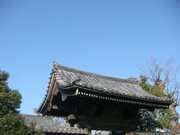 DSC03136.JPG