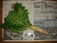 DSC03170.JPG