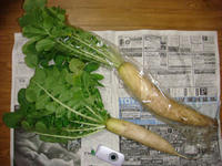 DSC03171.JPG