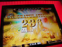 DSC03254.JPG