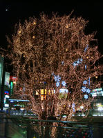 DSC03257.JPG
