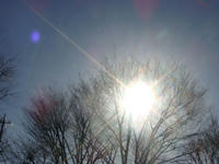 DSC03336.JPG